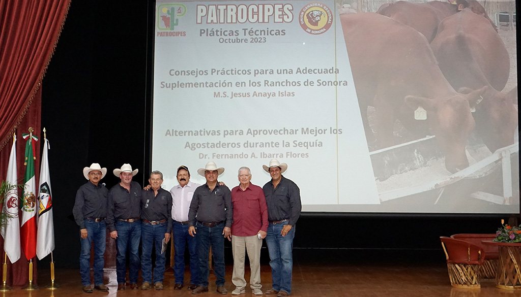 Pláticas Técnicas